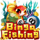 Bingo Fishing arcade room